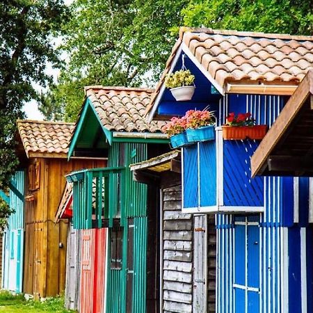 Au Coeur Du Bassin D'Arcachon,Tres Bel Appartement Avec Terrasse 欧当日 外观 照片