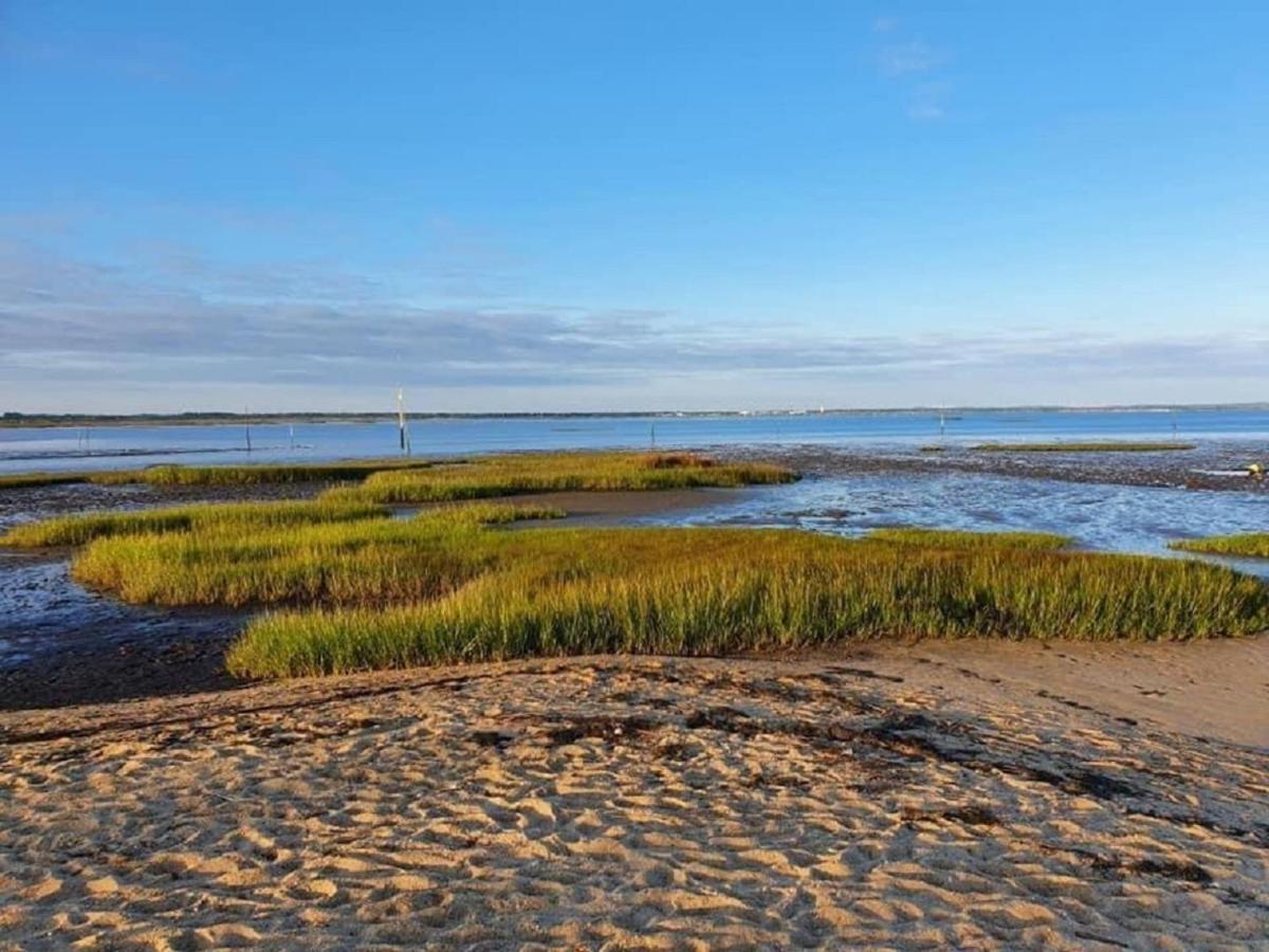 Au Coeur Du Bassin D'Arcachon,Tres Bel Appartement Avec Terrasse 欧当日 外观 照片