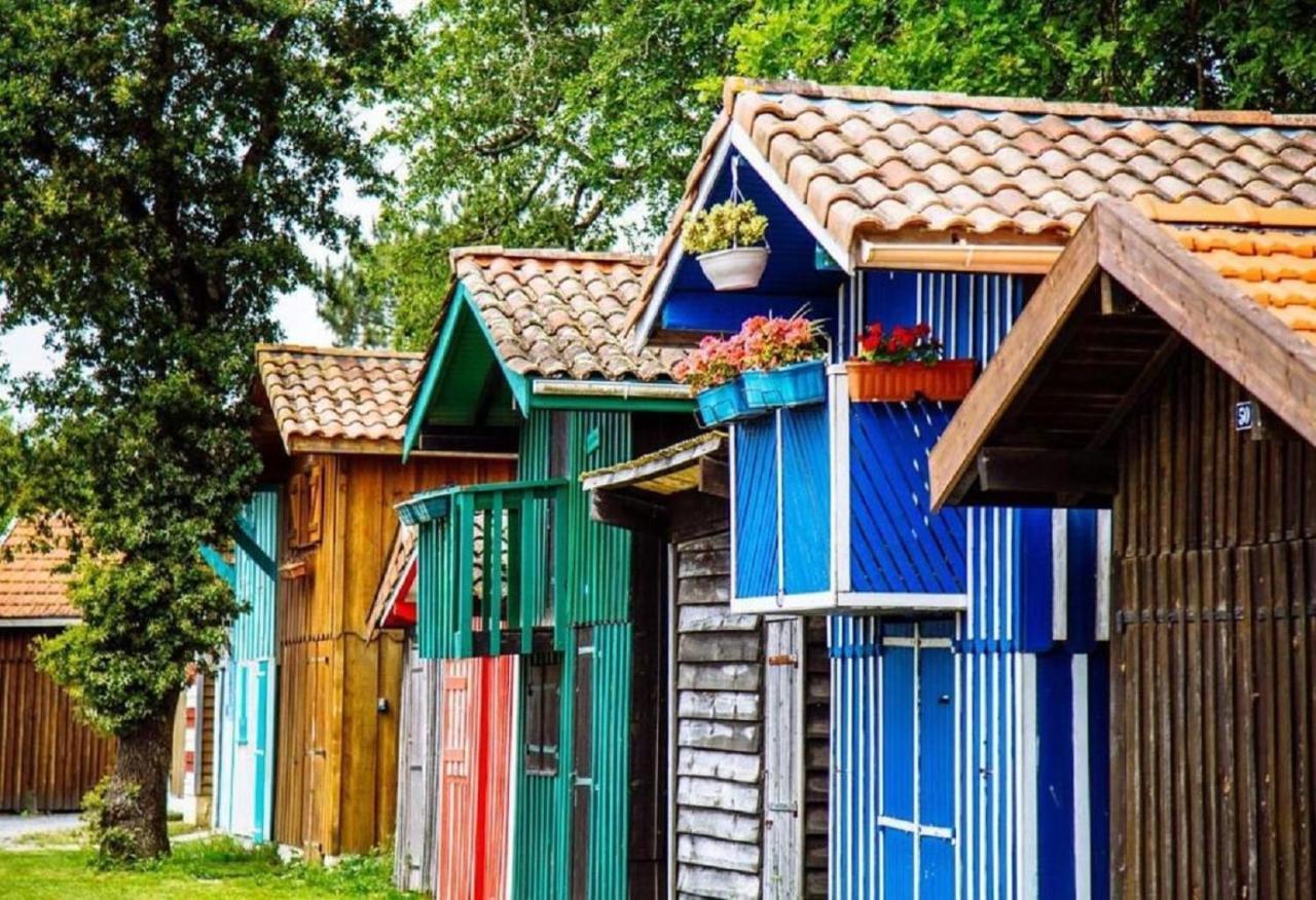 Au Coeur Du Bassin D'Arcachon,Tres Bel Appartement Avec Terrasse 欧当日 外观 照片