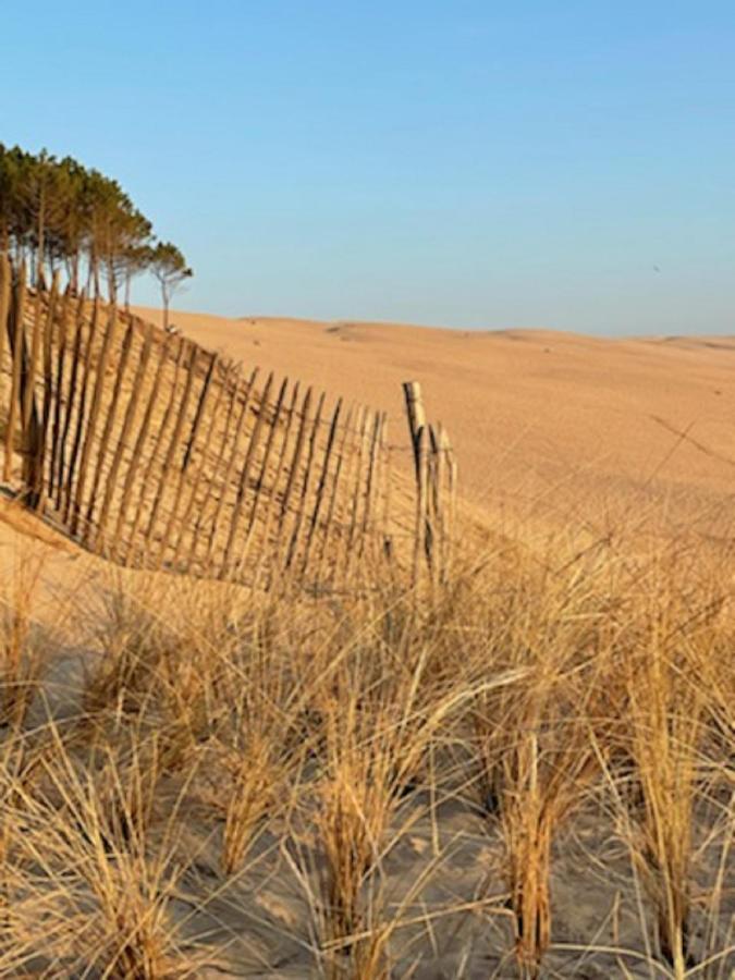 Au Coeur Du Bassin D'Arcachon,Tres Bel Appartement Avec Terrasse 欧当日 外观 照片