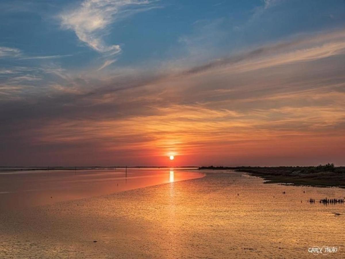 Au Coeur Du Bassin D'Arcachon,Tres Bel Appartement Avec Terrasse 欧当日 外观 照片