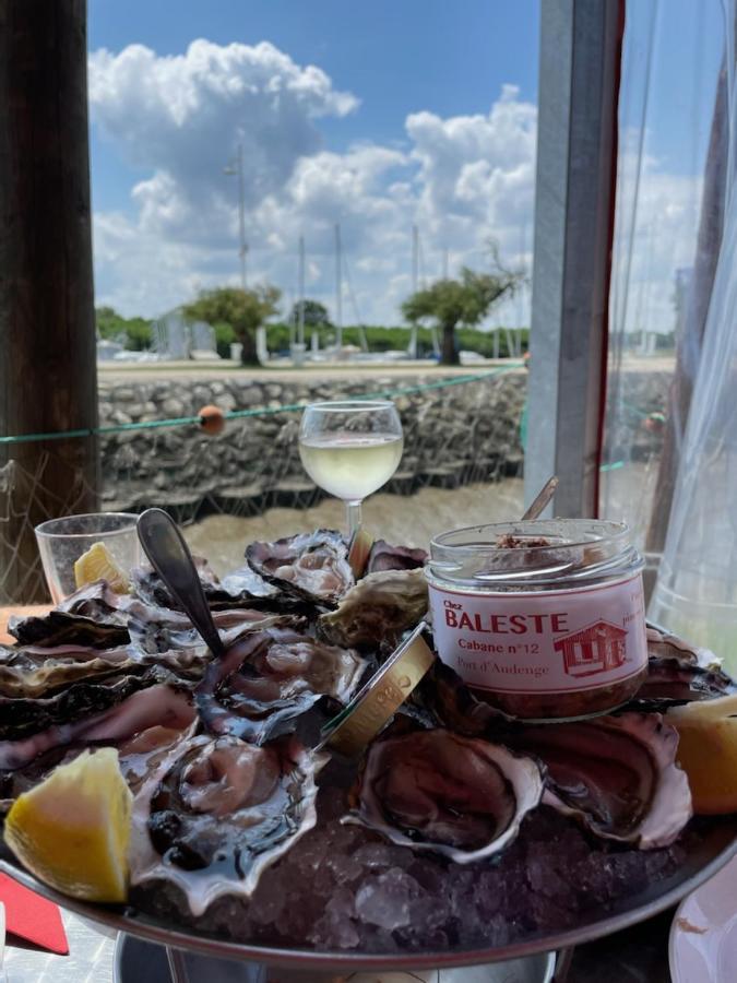 Au Coeur Du Bassin D'Arcachon,Tres Bel Appartement Avec Terrasse 欧当日 外观 照片
