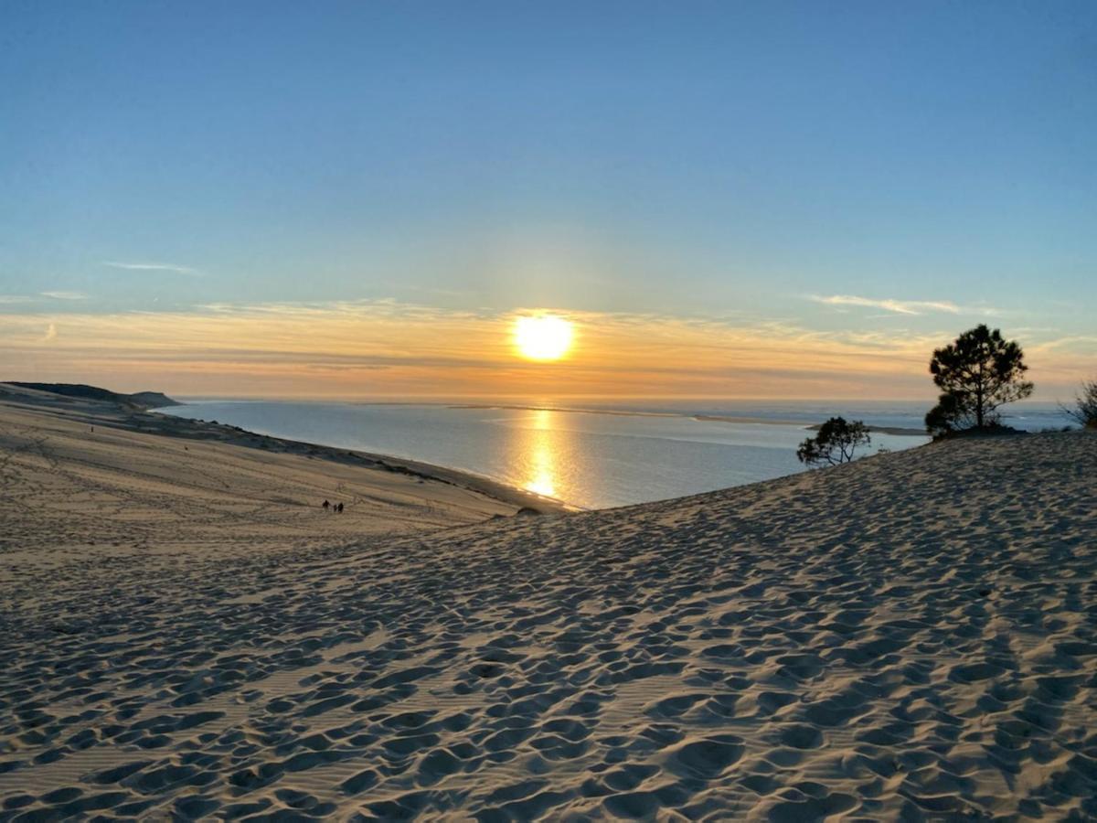 Au Coeur Du Bassin D'Arcachon,Tres Bel Appartement Avec Terrasse 欧当日 外观 照片